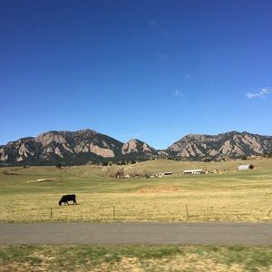 Meet your Posher, Addy